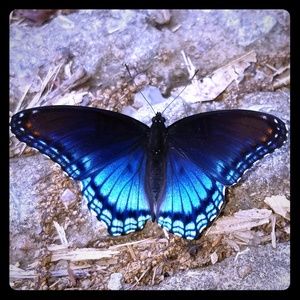 🌺BUNDLE 3FOR$16🌺